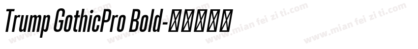 Trump GothicPro Bold字体转换